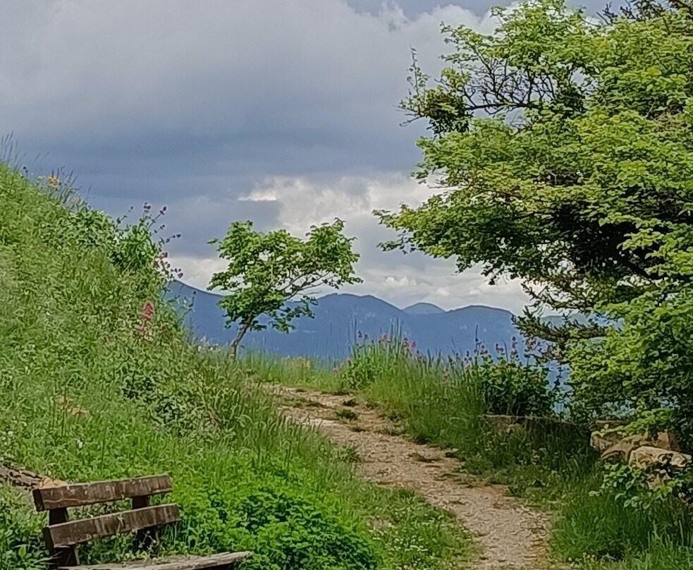 Rennes le chateau-Rennes-le-Chateau必去景点