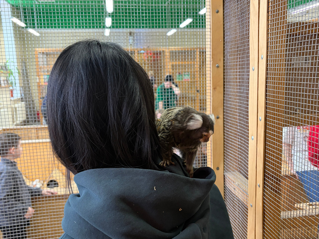 Strana Enotiya-克拉斯诺亚尔斯克必去景点