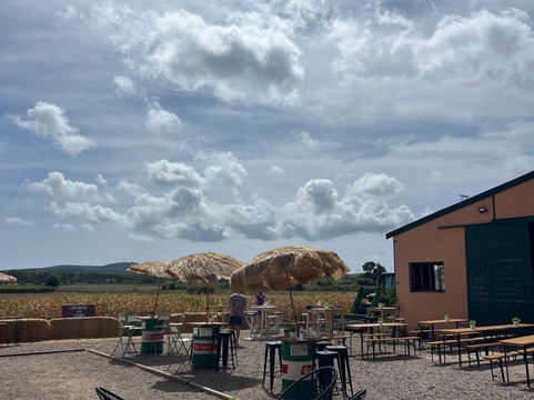 Labyrinthe De Launac-Fabregues必去景点