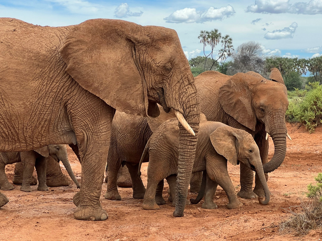 African Quest Safaris-蒙巴萨必去景点