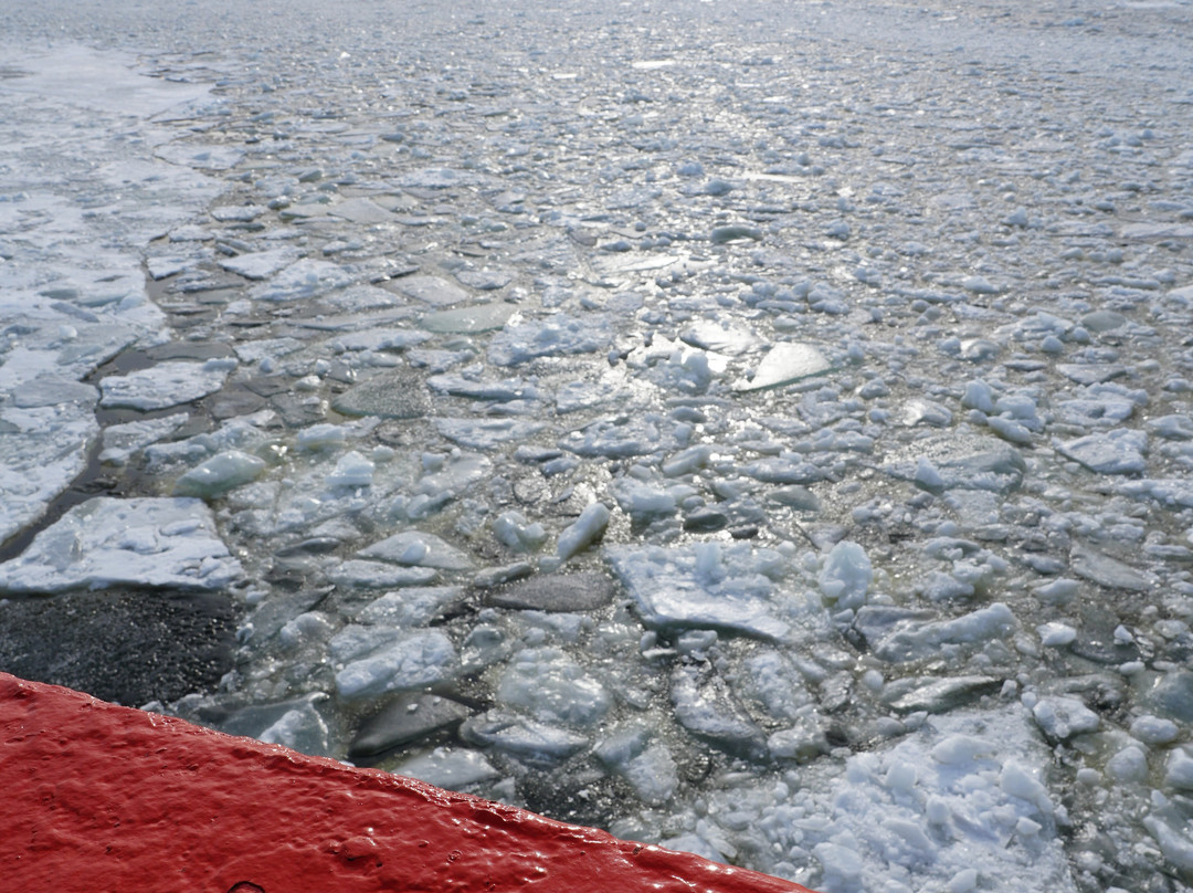 Polar Explorer Icebreaker-Batskarsnas必去景点