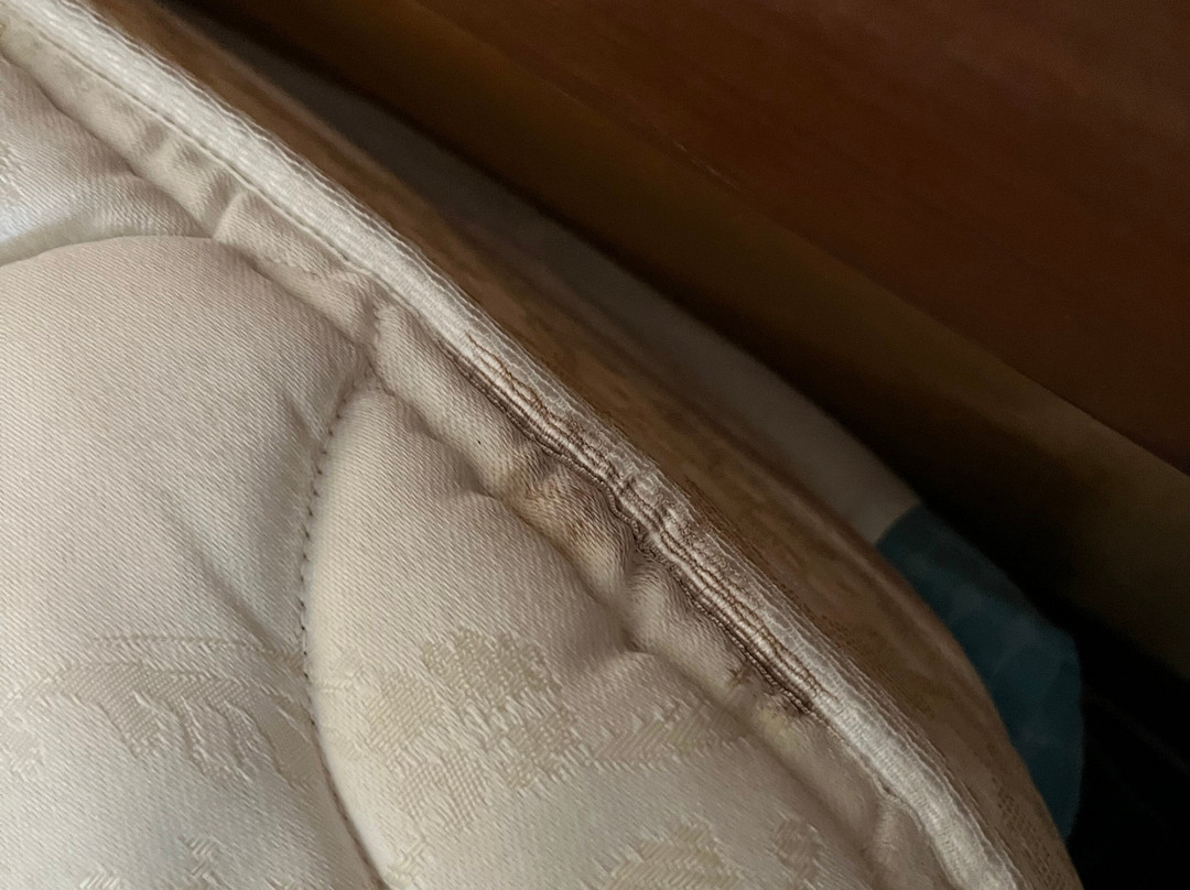 坦帕布兰登万枫酒店及套房主图