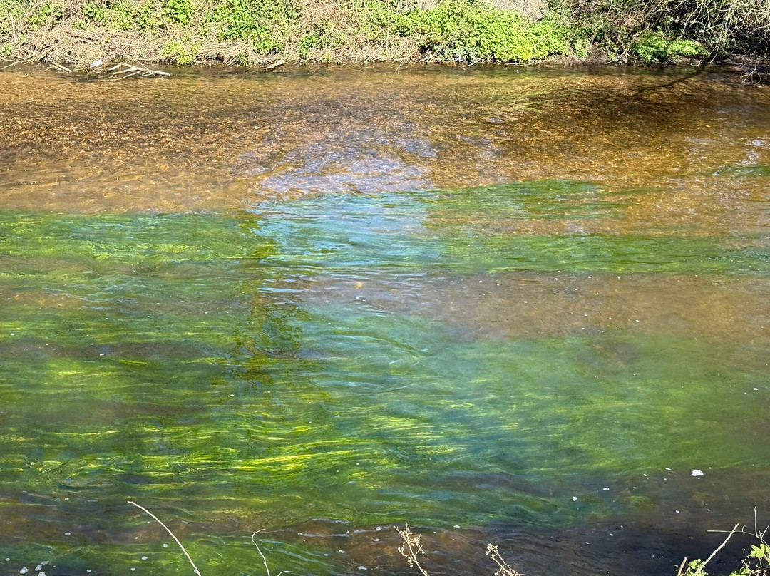 Idle Valley Nature Reserve-Retford必去景点