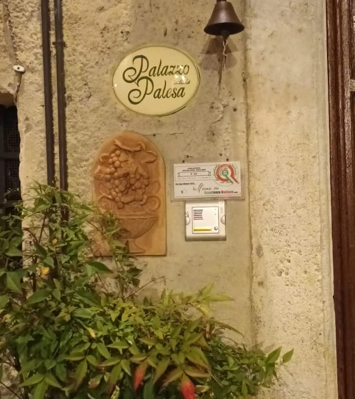 Palazzo Palesa主图