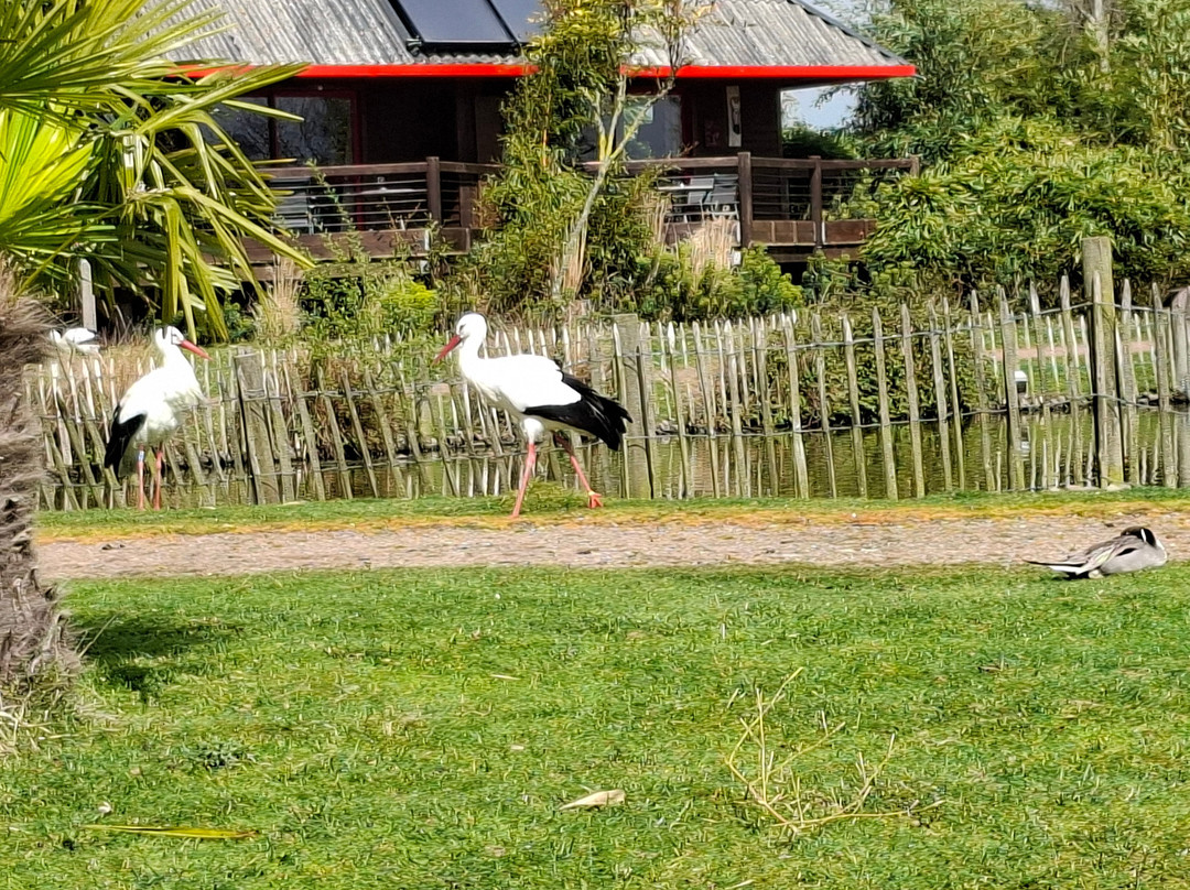Parc Zoologique Cerza-Hermival-les-Vaux必去景点