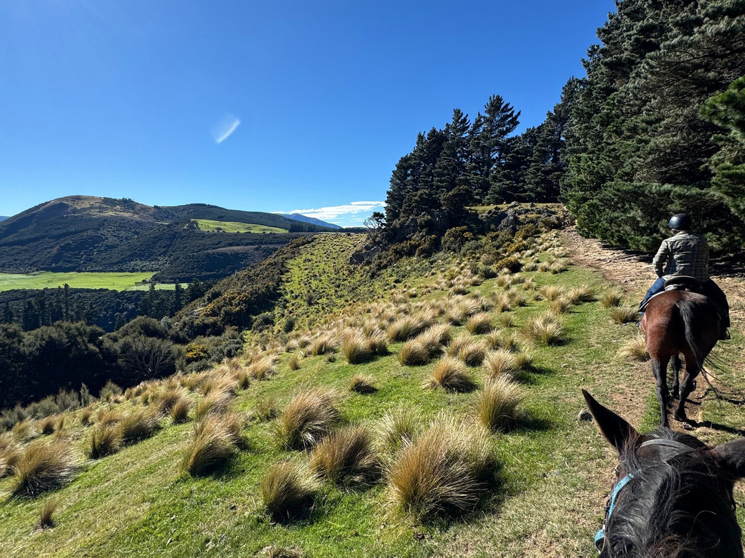 Rubicon Valley Horse Riding-Thornton必去景点