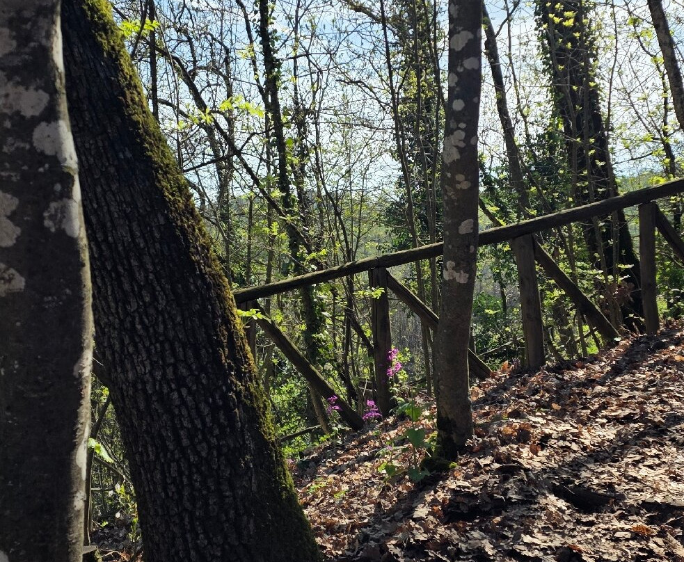 Castello di Gropparello-Gropparello必去景点