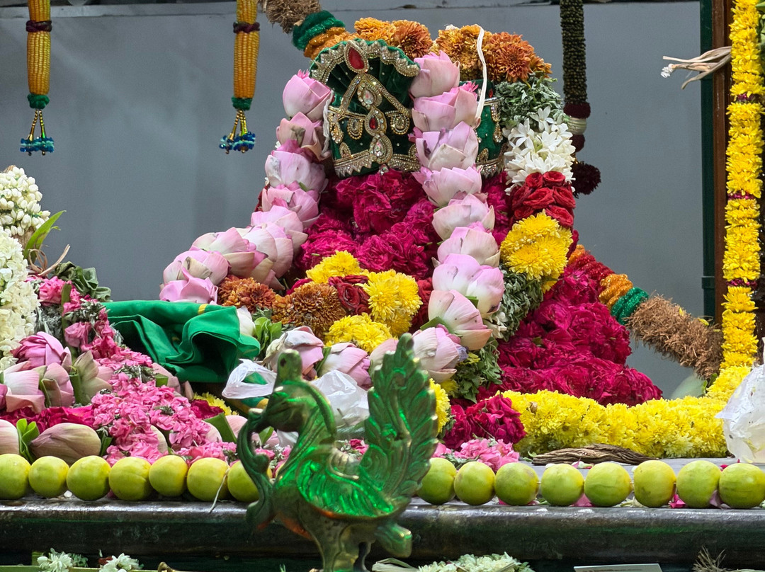 威萨卡艾美西斯特酒店主图