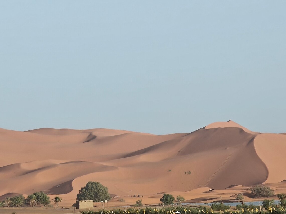 Desert Morocco Tours-卡萨布兰卡必去景点
