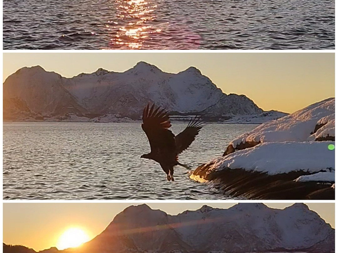 Go2Lofoten-斯沃尔韦尔必去景点