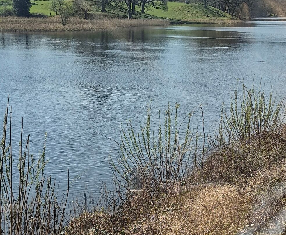 Lakeside & Haverthwaite Steam Railway-Haverthwaite必去景点