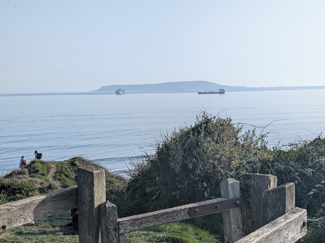 司马格乐旅馆主图