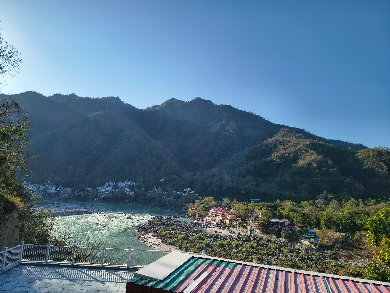 瑞诗凯诗柠檬树高级酒店-官方