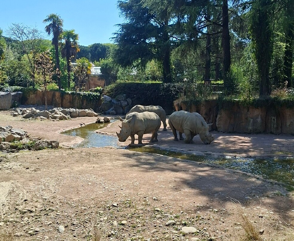 Parco Faunistico Le Cornelle-Valbrembo必去景点