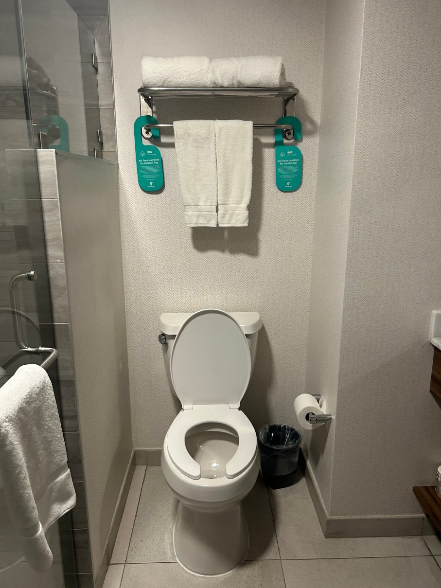 蒙特雷阿波达卡机场区假日套房酒店-浴室