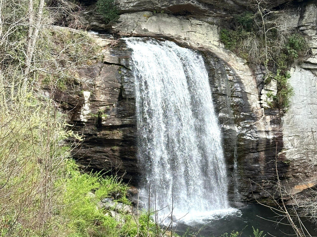 Looking Glass Falls-Pisgah Forest必去景点