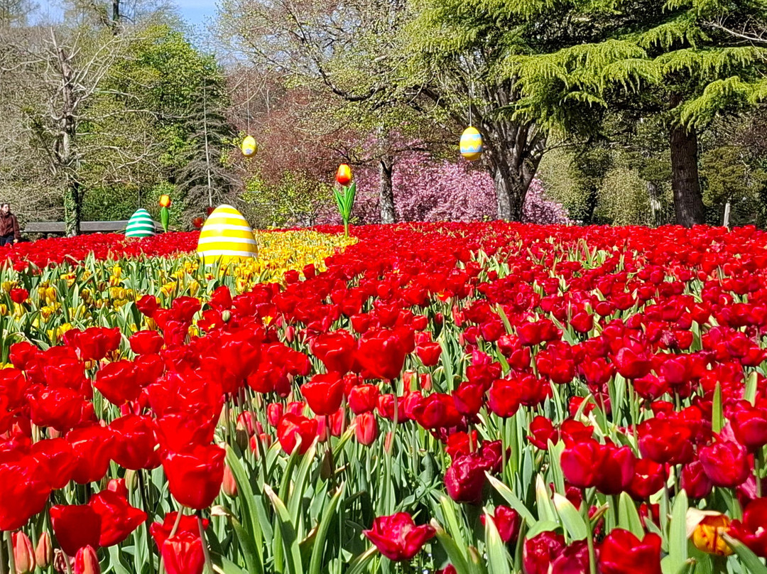 Spa By Caudalie-雪瓦尼城堡必去景点