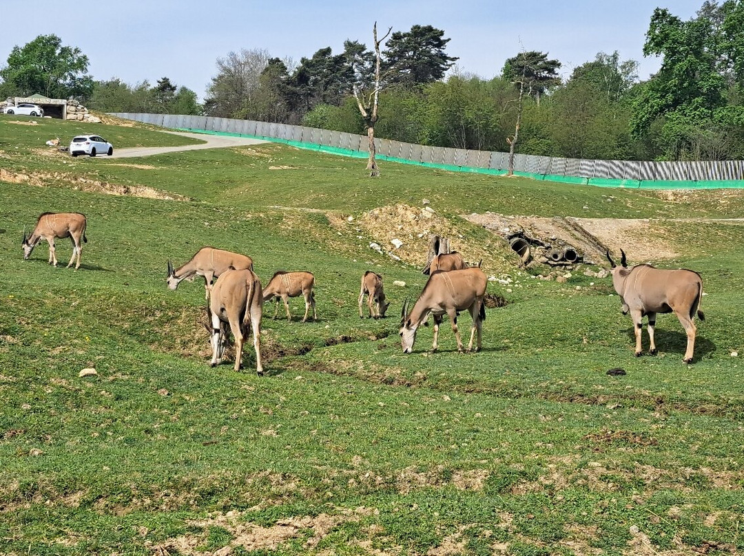 Safari Park-Pombia必去景点