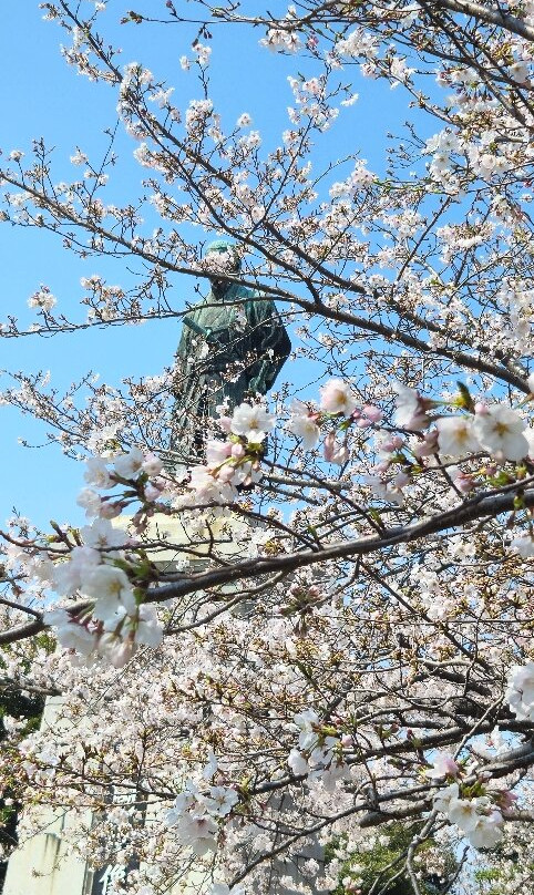 Nishi Park-Chuo必去景点