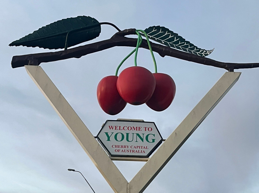 樱花盛开汽车旅馆主图