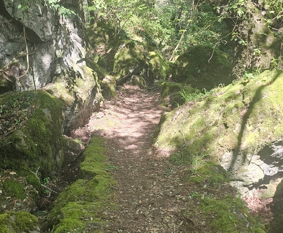 Bosco Del Sasseto-Acquapendente必去景点