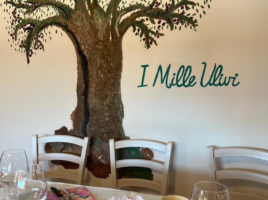 Agriturismo i Mille Ulivi主图