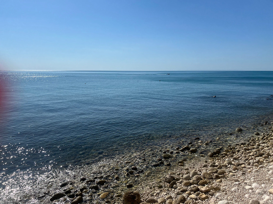 房子和母马酒店主图