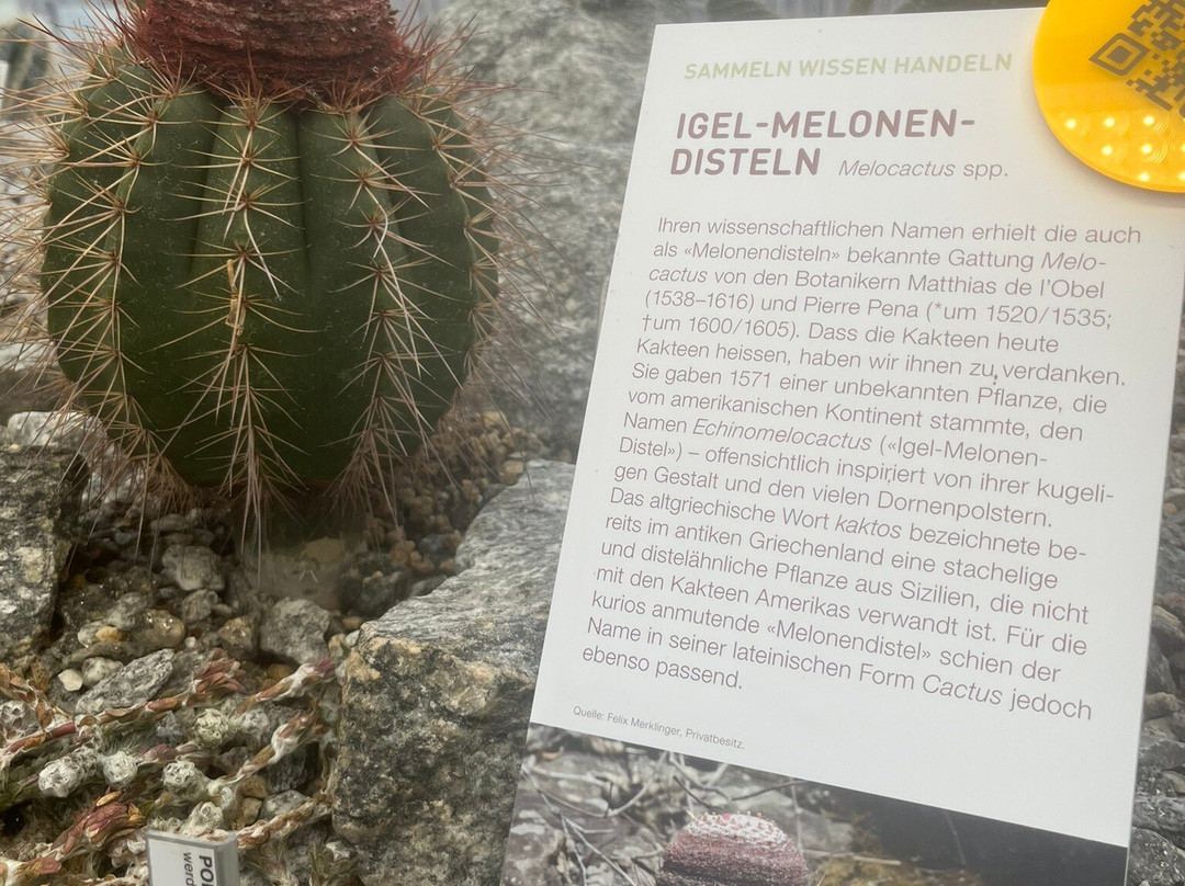 Zurich Succulent Plant Collection-苏黎世必去景点