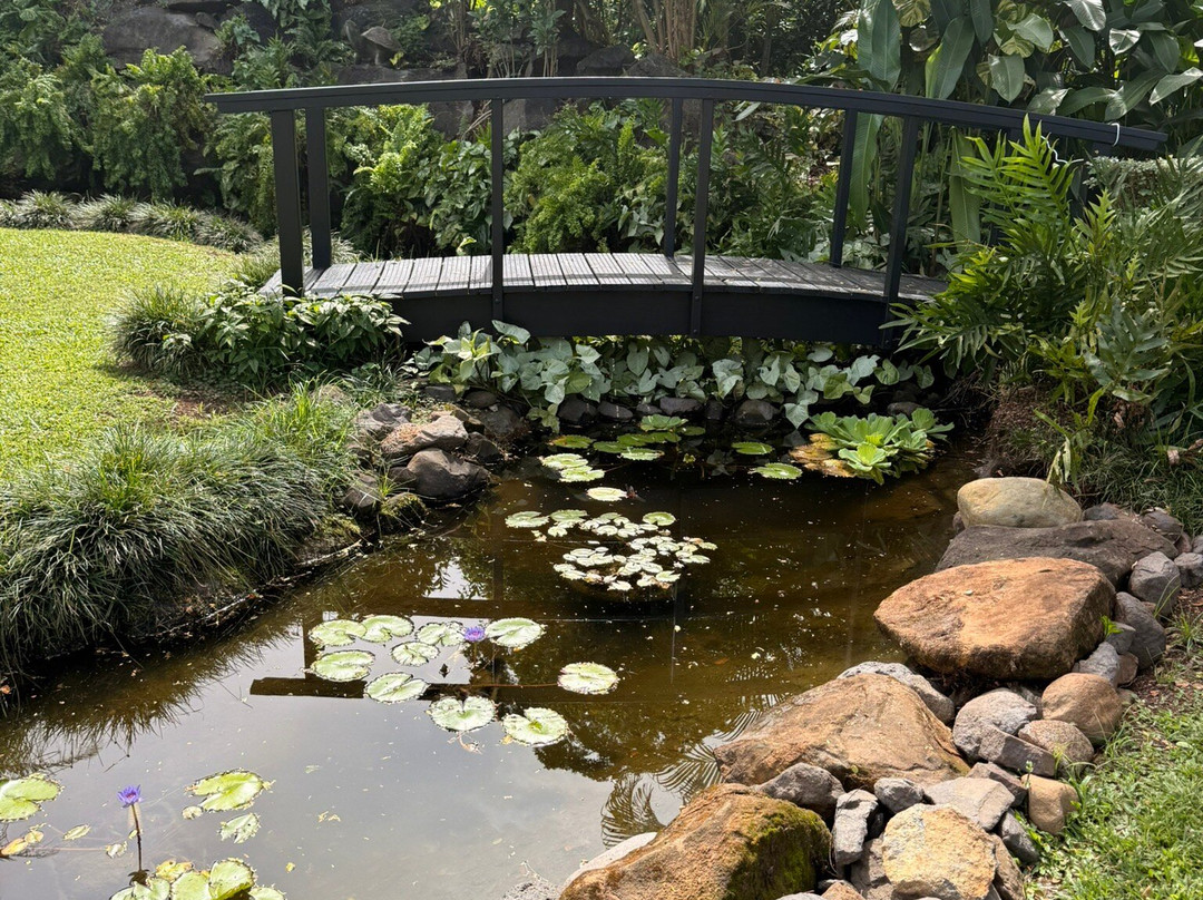 Maire Nui Gardens & Cafe-拉罗汤加必去景点