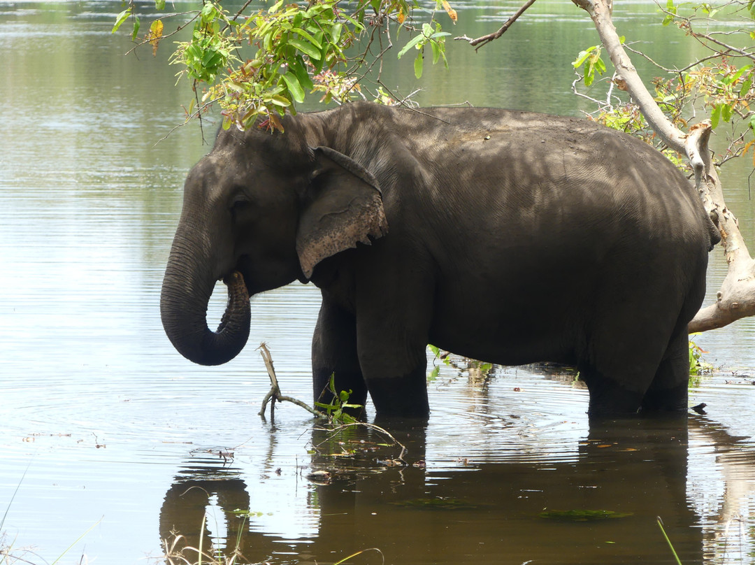 锡兰度假村主图