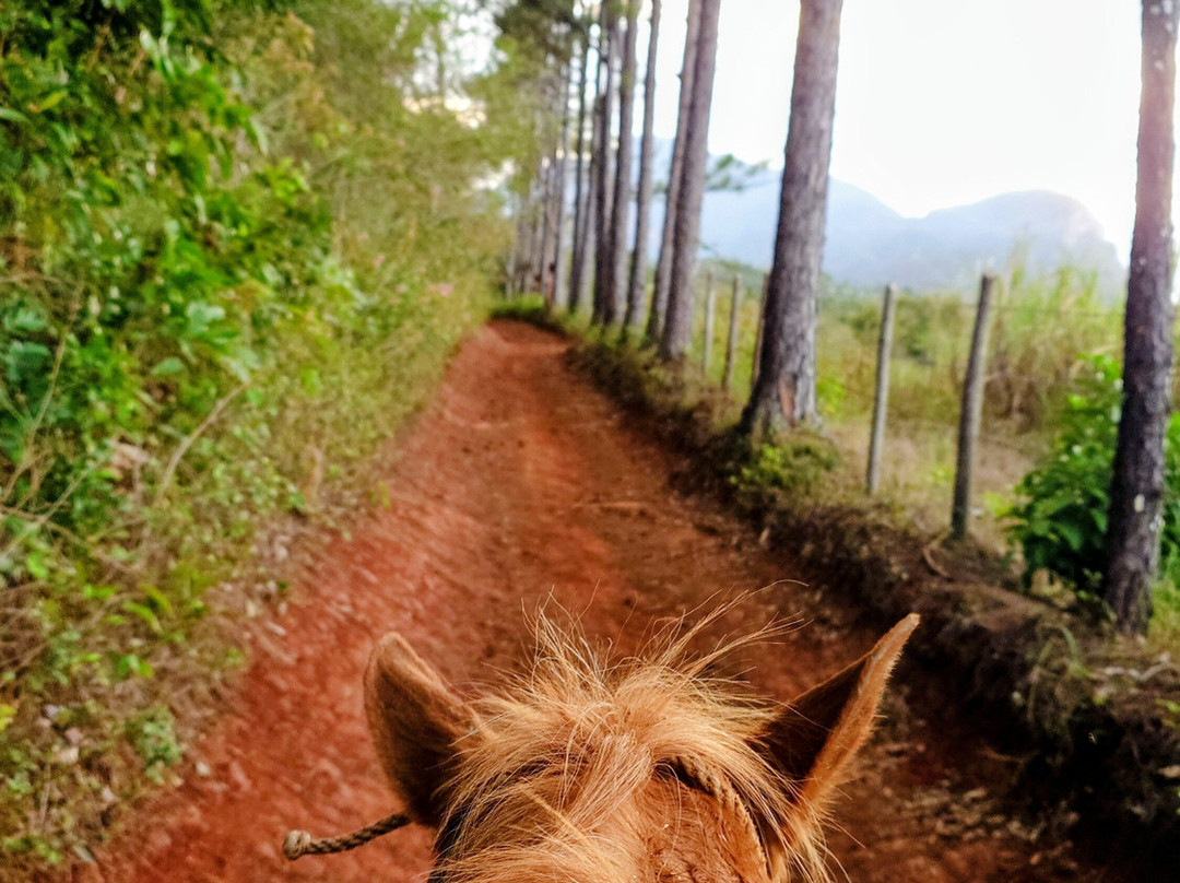 Authentic Tour Delivery-维纳勒斯必去景点