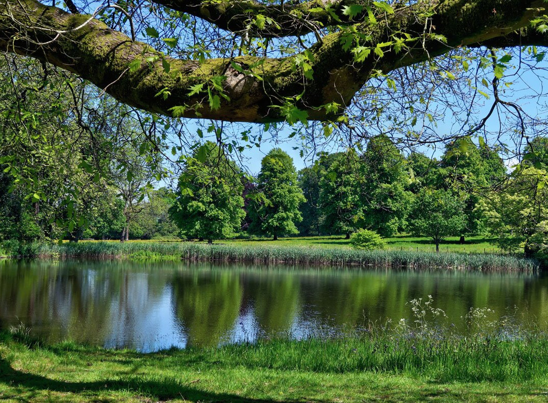 Forde Abbey & Gardens-Chard必去景点