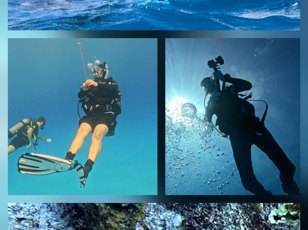 Crystal Divers Mauritius-Bain Boeuf必去景点