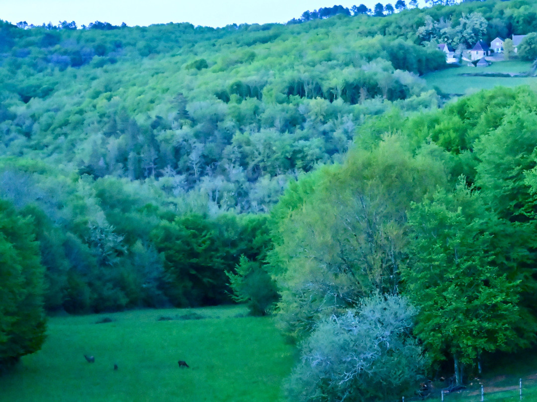 多梅因罗尼酒店主图