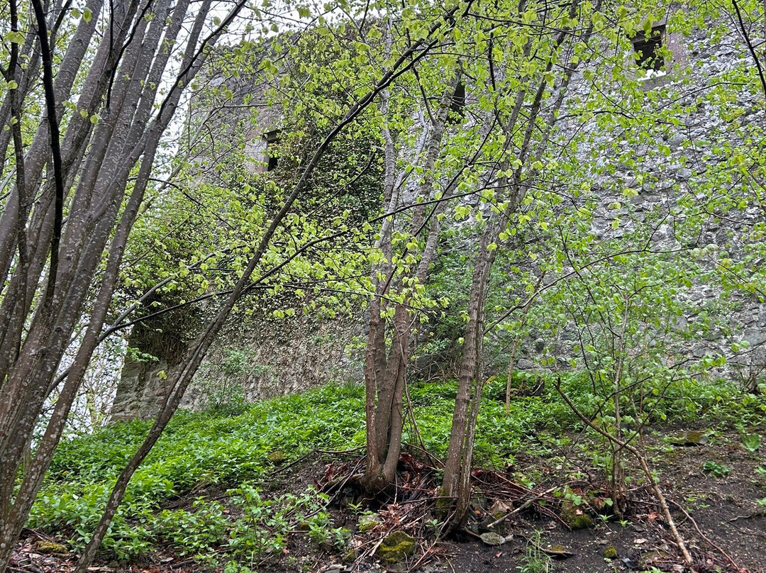 Burg Hauneck-Haunetal必去景点