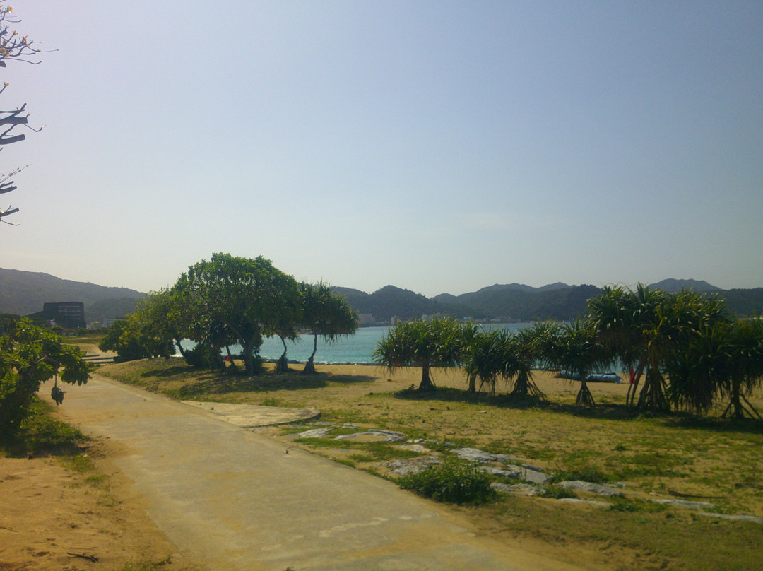21st Century Forest-名护市必去景点