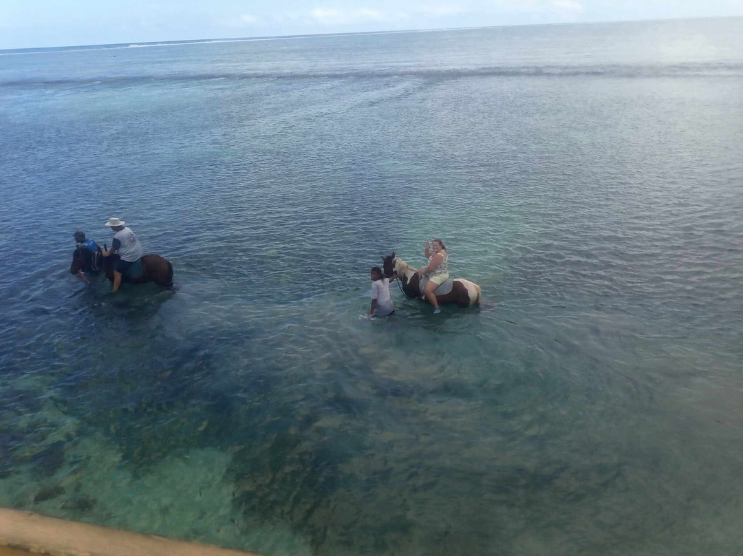Maui Bay Horse Riding Adventure-苏瓦必去景点