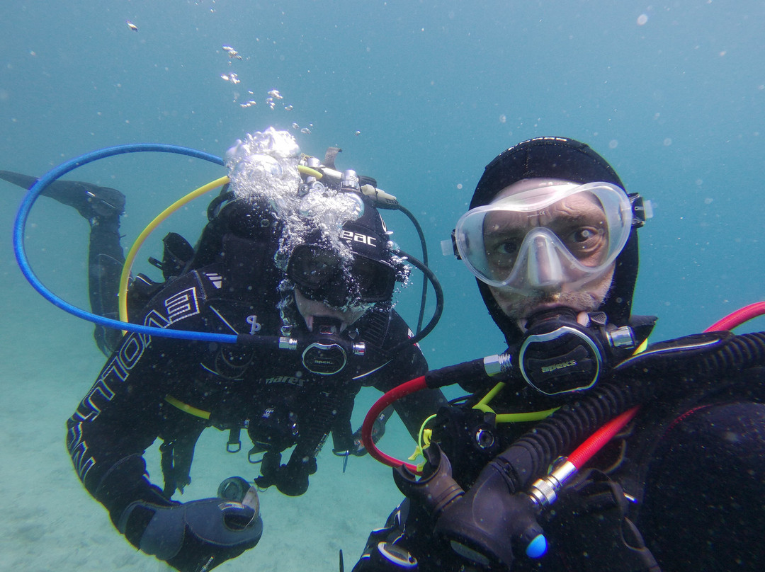 Starfish Diving Center-弗萨必去景点