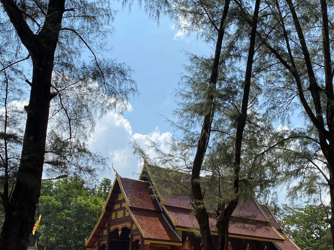 Wat Tha Sai (Wat Tesdhammanava)-泰曼必去景点