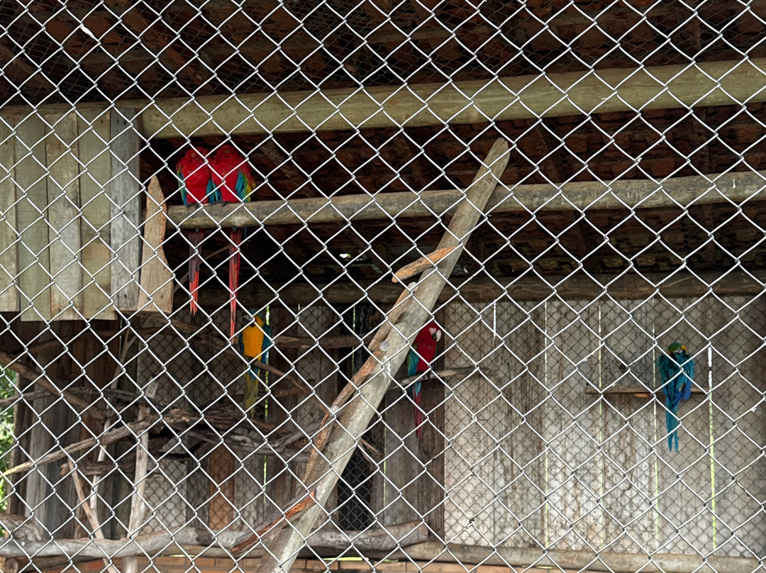 Bio Park-博尼图必去景点
