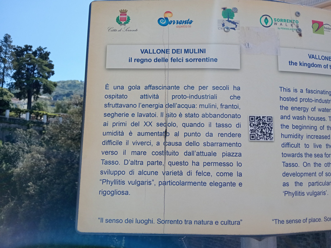 Il Vallone dei Mulini-索伦托必去景点