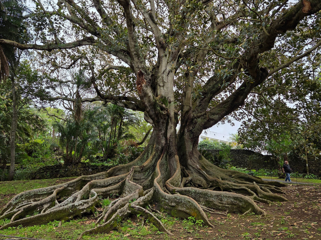 Jardim Botânico António Borges-蓬塔德尔加达必去景点