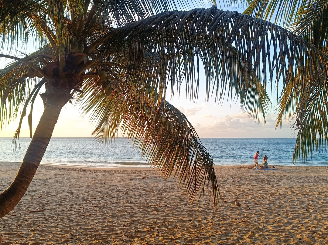 Plage de la Perle-Rifflet必去景点