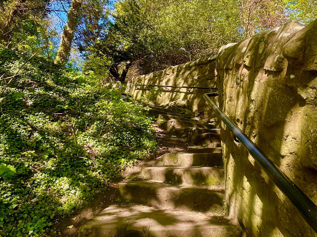 Ravenscraig Park-Kirkcaldy必去景点