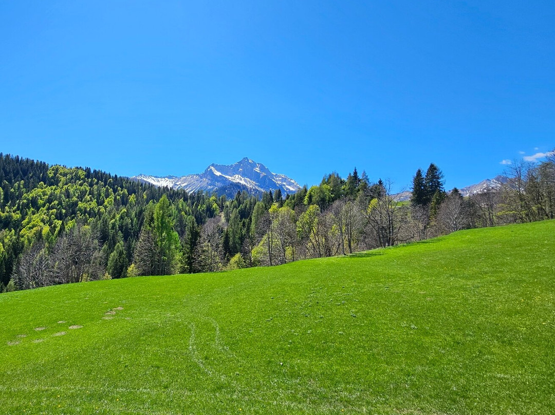 Sauris - Chiesa di San Lorenzo Martire-Sauris必去景点