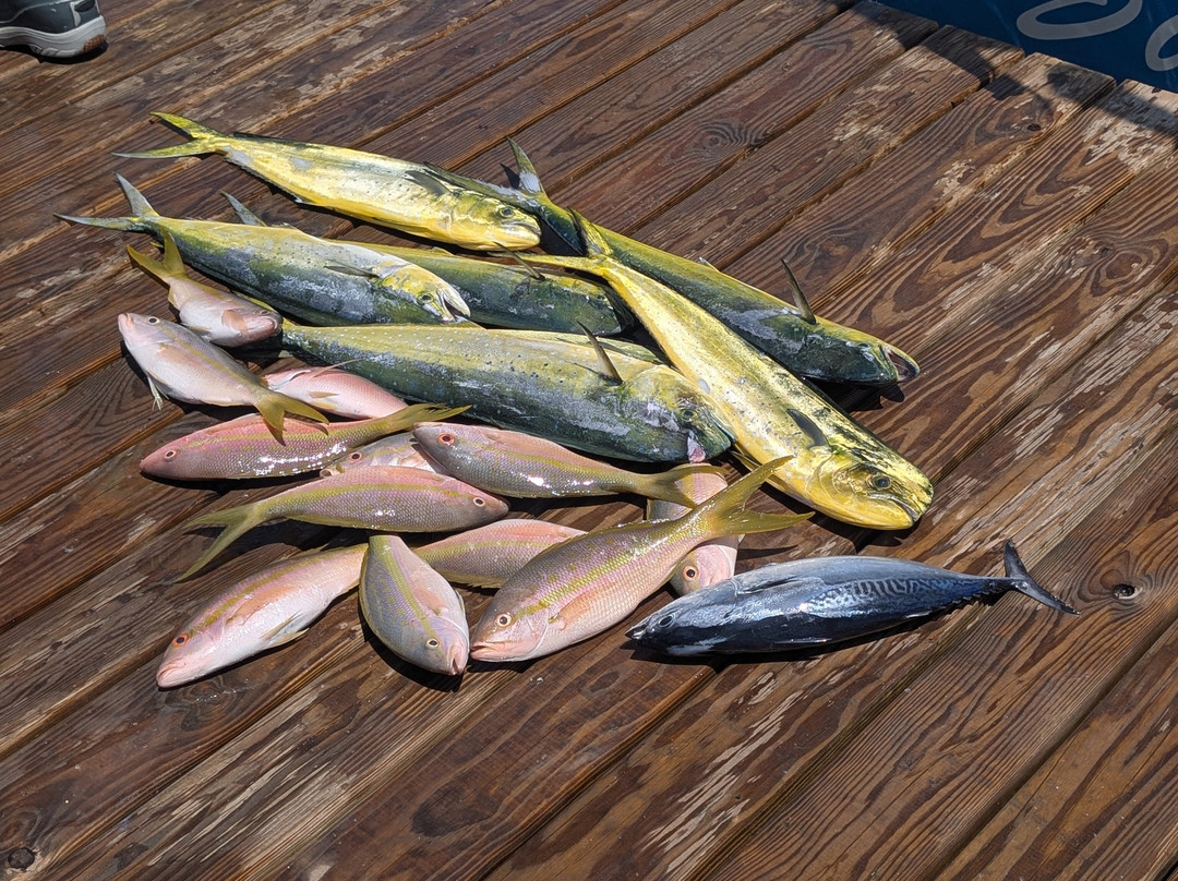 Drop Back Fishing Charters-伊斯拉摩拉达必去景点