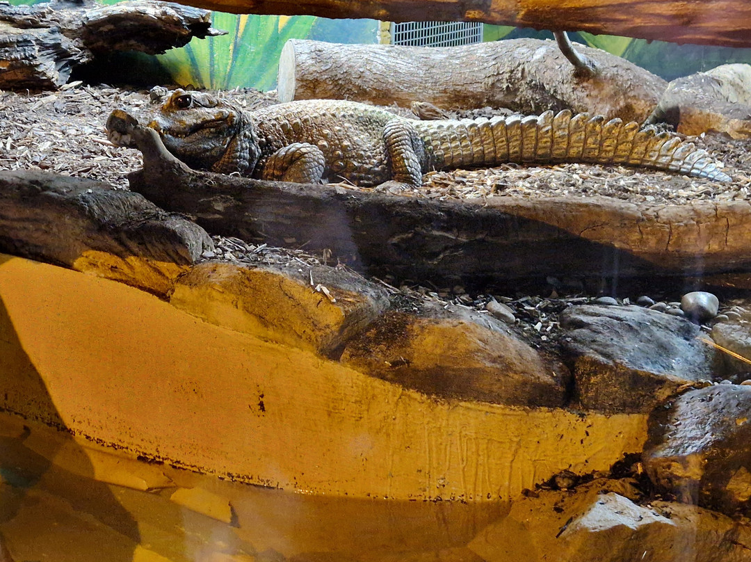 Five Sisters Zoo-West Calder必去景点