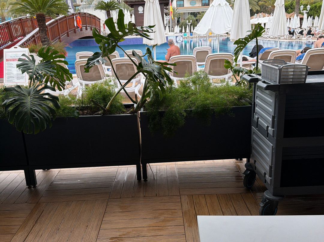 Quattro Beach Spa & Resort Hotel主图