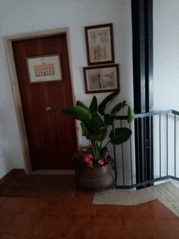 Il Palazzo Bed & Breakfast-旅行者