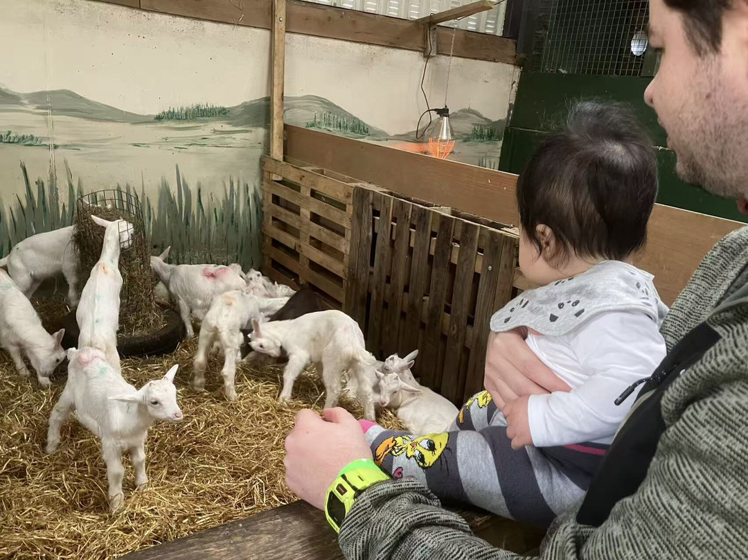 Secret Valley Wildlife Park-韦克斯福德必去景点